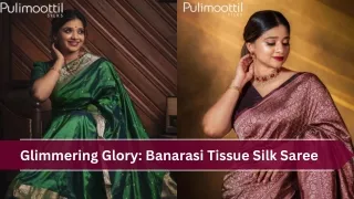 Glimmering Glory Banarasi Tissue Silk Saree