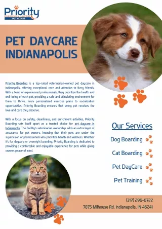 Pet Daycare Indianapolis