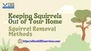 Keeping Squirrels Out of Your Home Squirrel Removal Methods