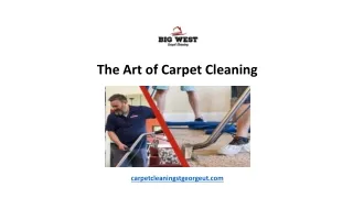 The Art of Carpet Cleaning