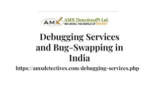 Debugging Services and Bug-Swapping in India