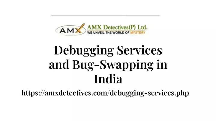 debugging services and bug swapping in india