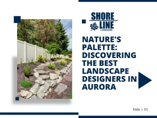 Nature's Palette Discovering the Best Landscape Designers in Aurora