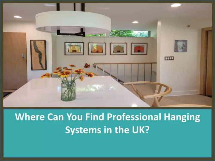 where can you find professional hanging systems