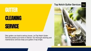 Denver Gutter Company: Top Gutter Cleaning Services, Maintenance and More.