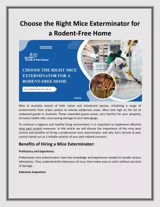 Choose the Right Mice Exterminator for a Rodent-Free Home