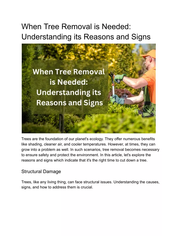 when tree removal is needed understanding