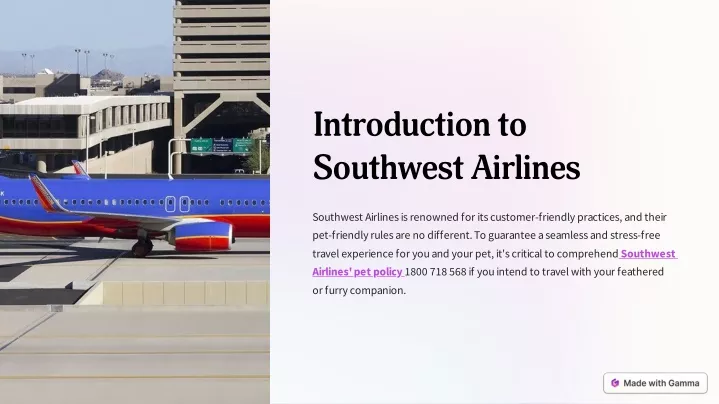 introduction to southwest airlines