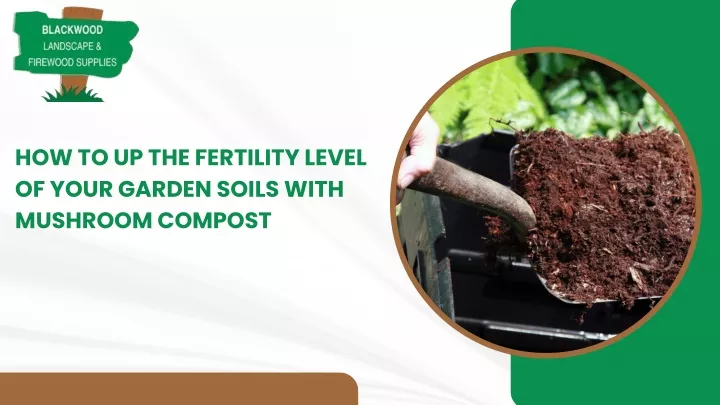 how to up the fertility level of your garden