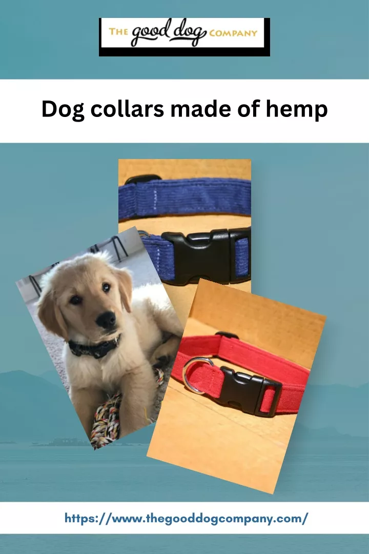 dog collars made of hemp