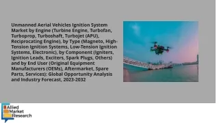 Unmanned Aerial Vehicles Ignition System Market PDF