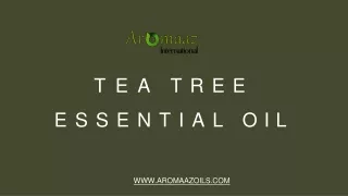 Amezing Uses and Benefits of Tea Tree Essential Oil - Aromaaz Oils