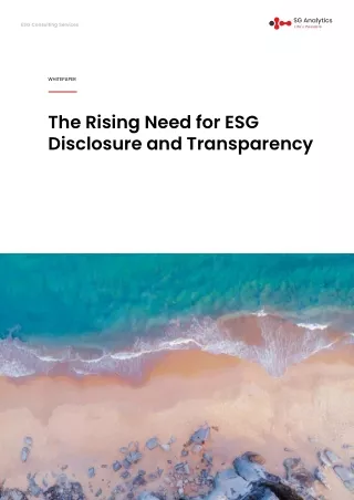 esg consulting services