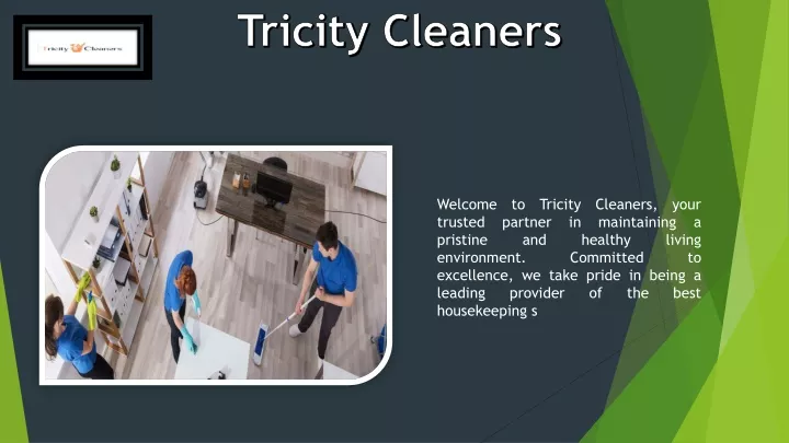 tricity cleaners