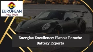 Energize Excellence Plano's Porsche Battery Experts