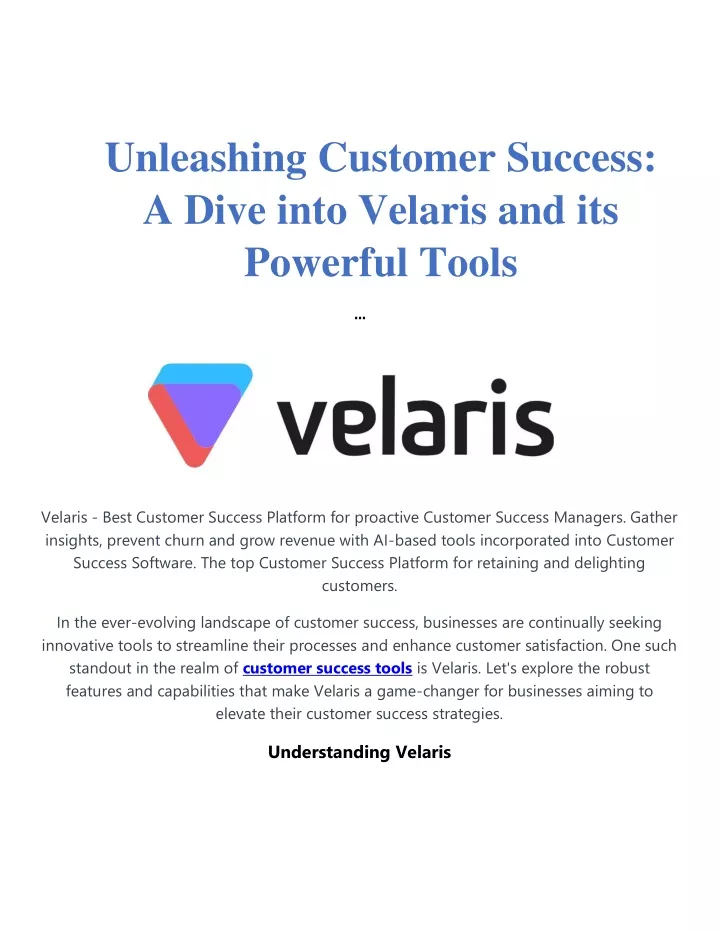 unleashing customer success a dive into velaris
