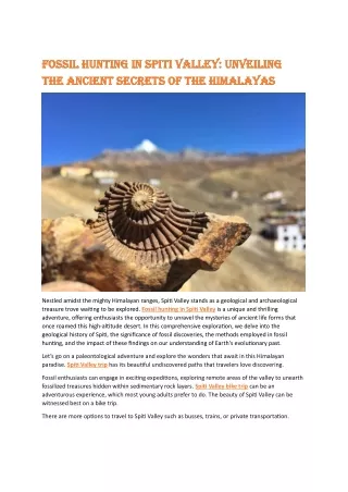 fossil hunting in spiti valley fossil hunting