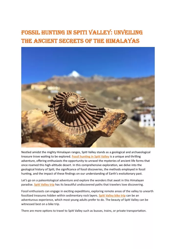 fossil hunting in spiti valley fossil hunting