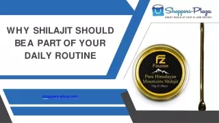 Why Shilajit Should be a Part of Your Daily Routine