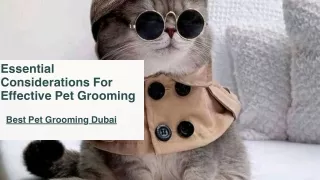 Essential Considerations for Effective Pet Grooming