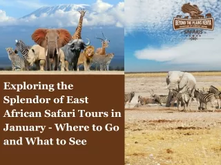 Exploring the Splendor of East African Safari Tours in January - Where to Go and What to See