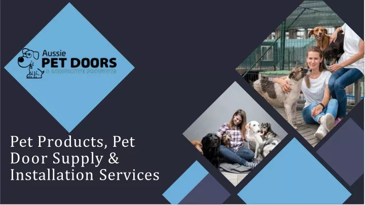 pet products pet door supply installation services