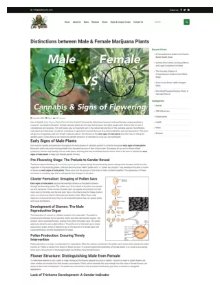 Early Signs Of Male Plants