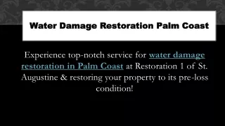 Water Damage Restoration Palm Coast