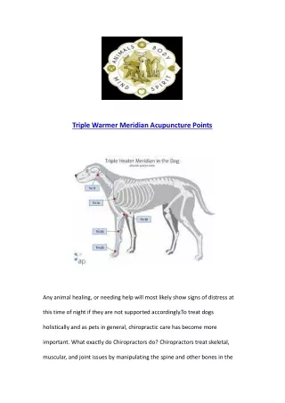Triple Warmer Meridian Acupuncture Points