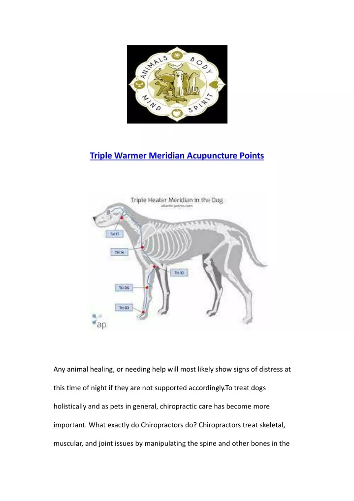 triple warmer meridian acupuncture points