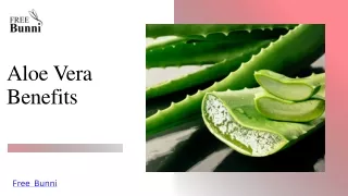 Unlocking the Power of Aloe Vera: A Comprehensive Guide to Its Numerous Benefits