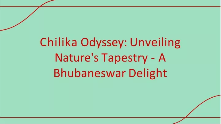 chilika odyssey unveiling nature s tapestry a bhubaneswar delight