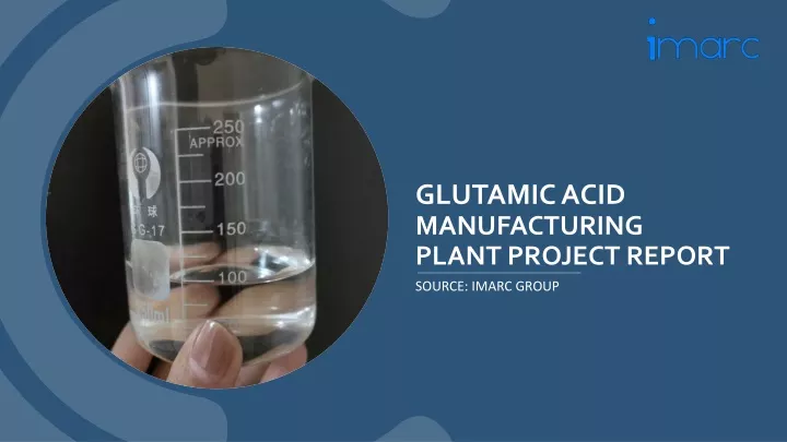 glutamic acid manufacturing plant project report