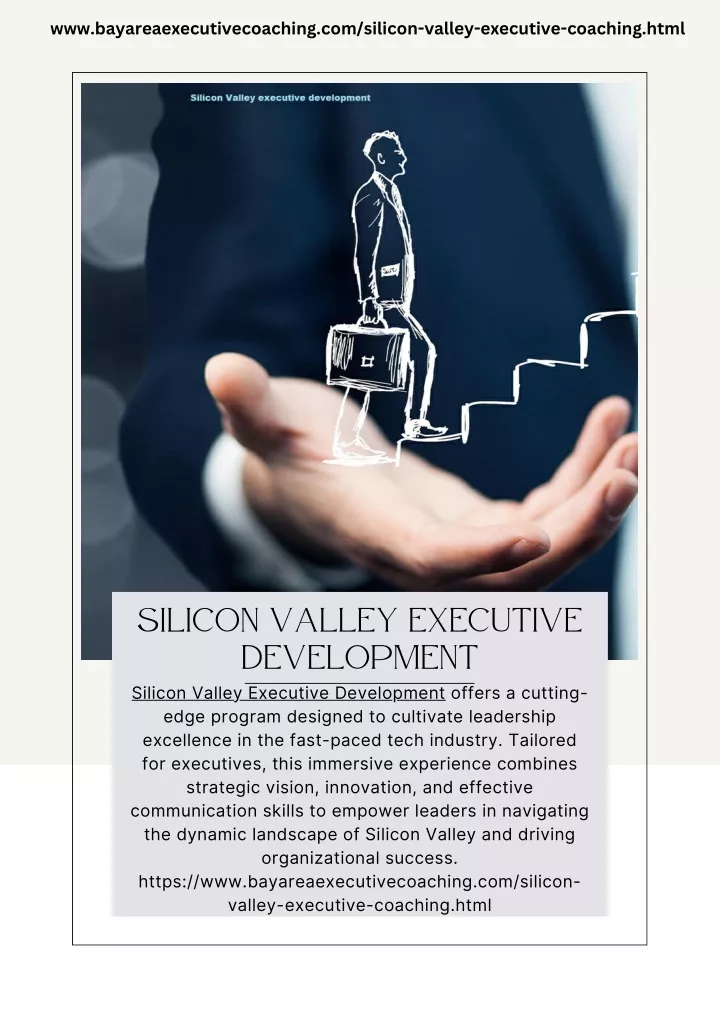 www bayareaexecutivecoaching com silicon valley