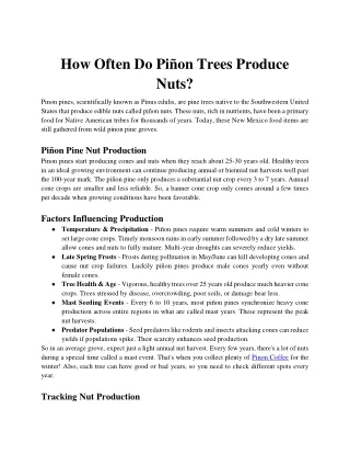 How Often Do Piñon Trees Produce Nuts