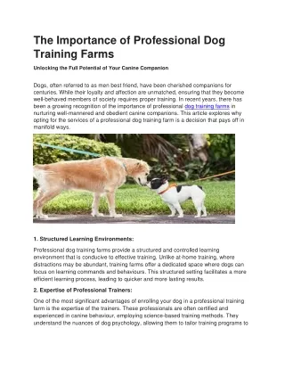 The Importance of Professional Dog Training Farms