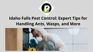 Idaho Falls Pest Control: Expert Tips for Handling Ants, Wasps, and More