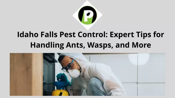 idaho falls pest control expert tips for handling