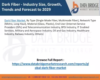 dark fiber industry size growth trends