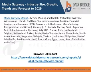 media gateway industry size growth trends