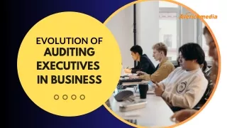 Evolution of auditing executives in business