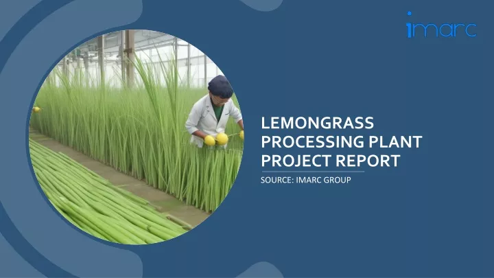 lemongrass processing plant project report