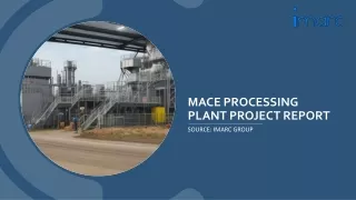 mace processing plant project report