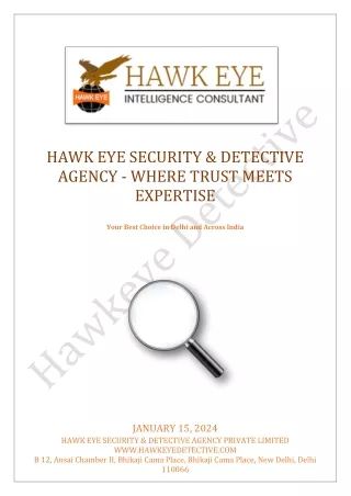 Hawk Eye Security & Detective Agency - Where Trust Meets Expertise