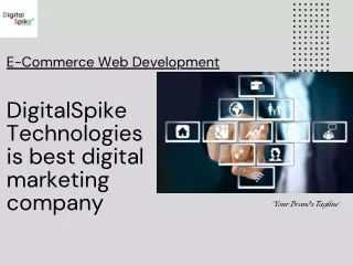 e commerce web development
