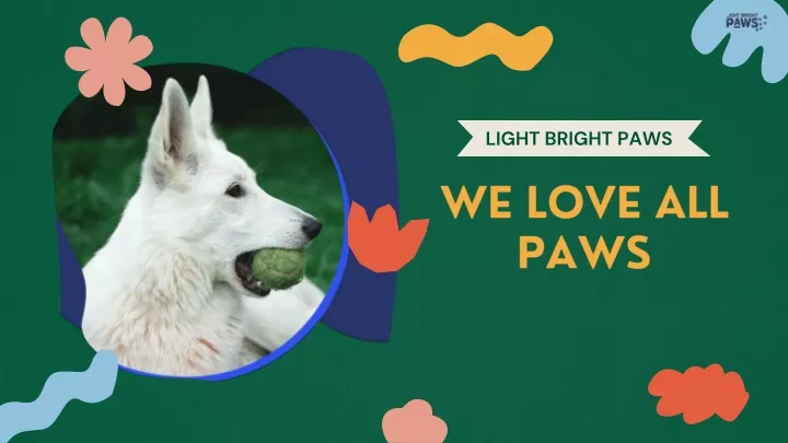 light bright paws