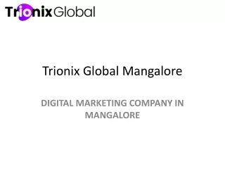 "seo company in mangalore - Trionix Global  "
