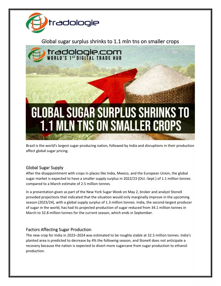 global sugar surplus shrinks