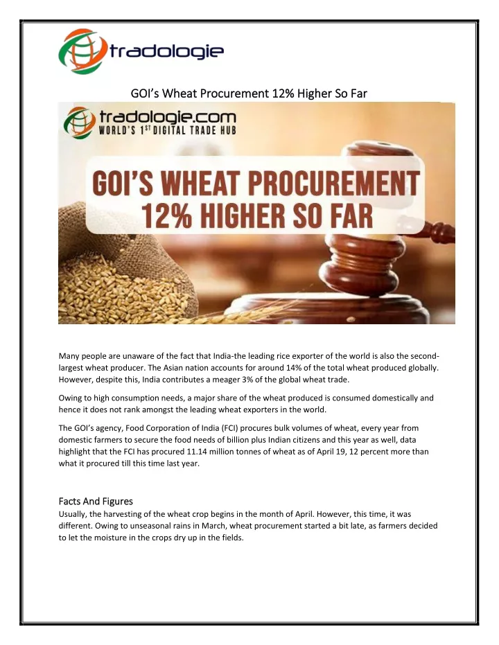 goi s wheat procurement 12 higher