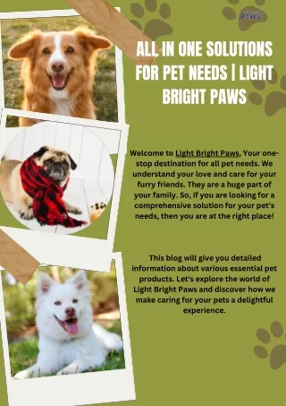 All in One Solutions for Pet Needs - Light Bright Paws